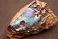 bolder opaal australie mineralen Lava - Plains